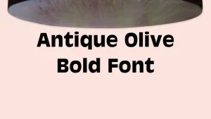 Antique Olive Bold Font Feature