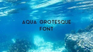 Aqua Grotesque Font Feature