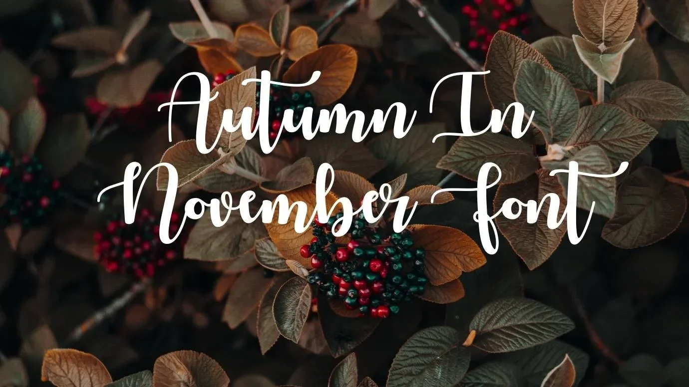 Autumn In November Font Feature