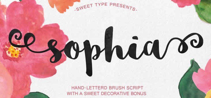 Brush Typography Font