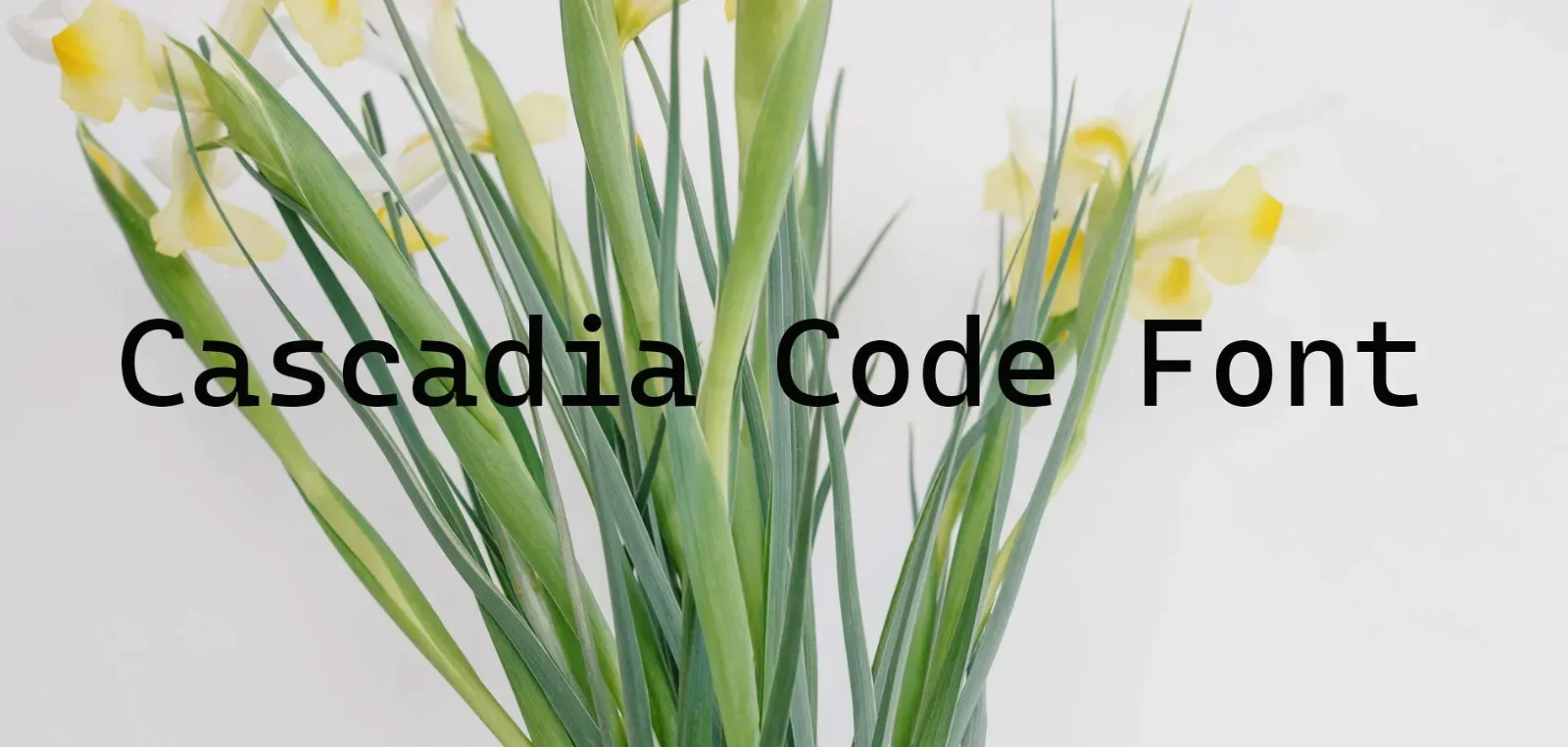 Cascadia Code Font