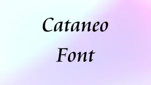 Cataneo Font Feature