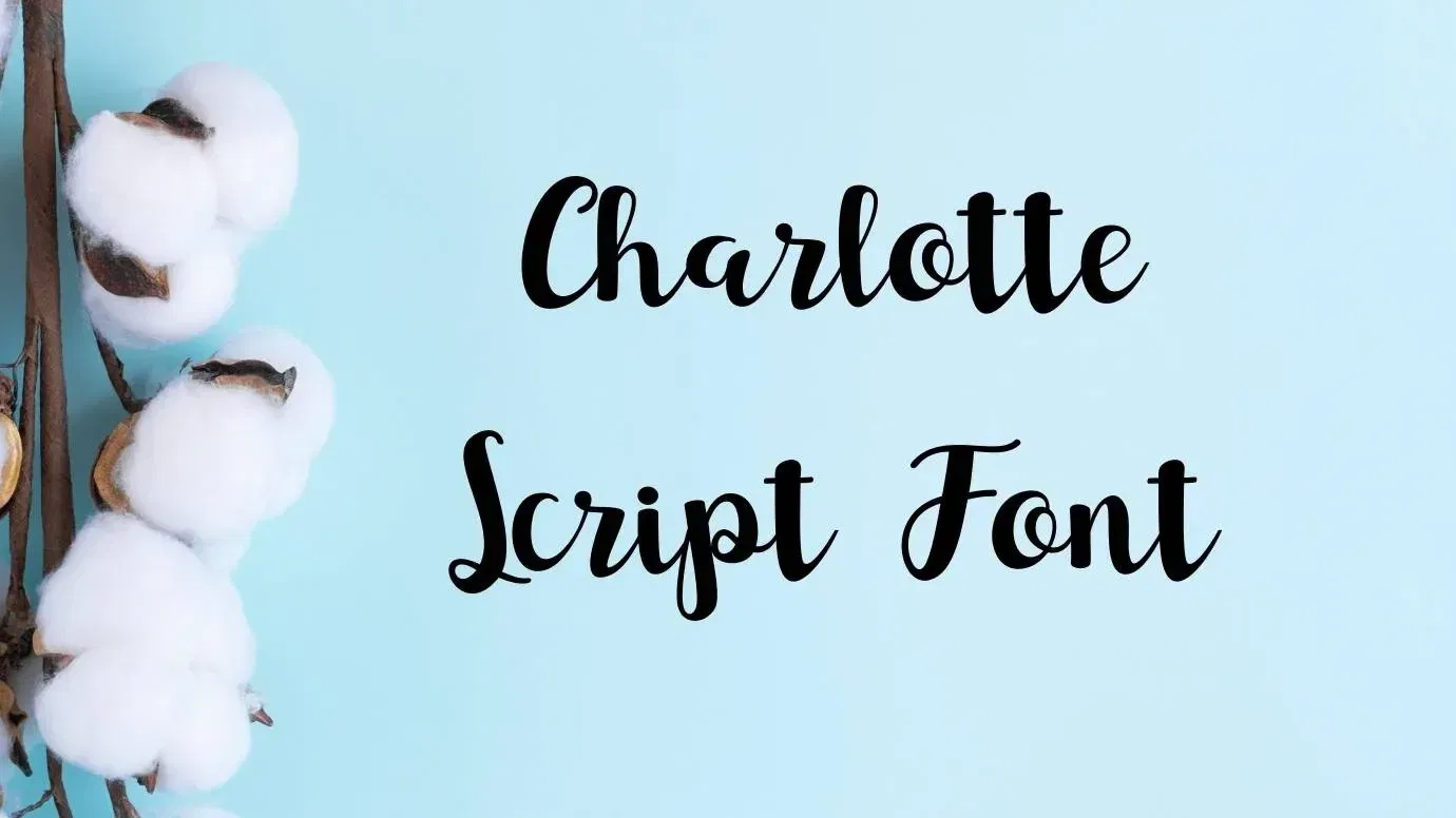 Charlotte Script Font Feature
