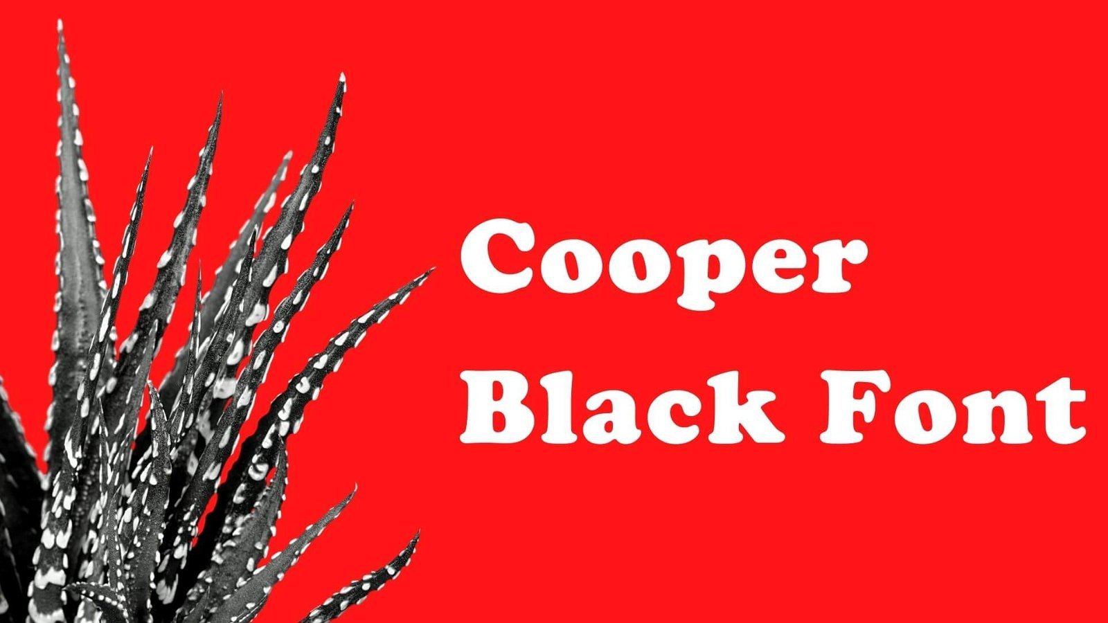 cooper black font free download mac