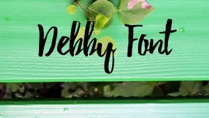Debby Font Feature