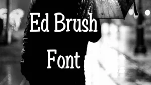 Ed Brush Font Feature