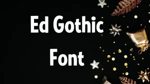 Ed Gothic Font Feature