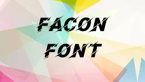 Facon Font Feature