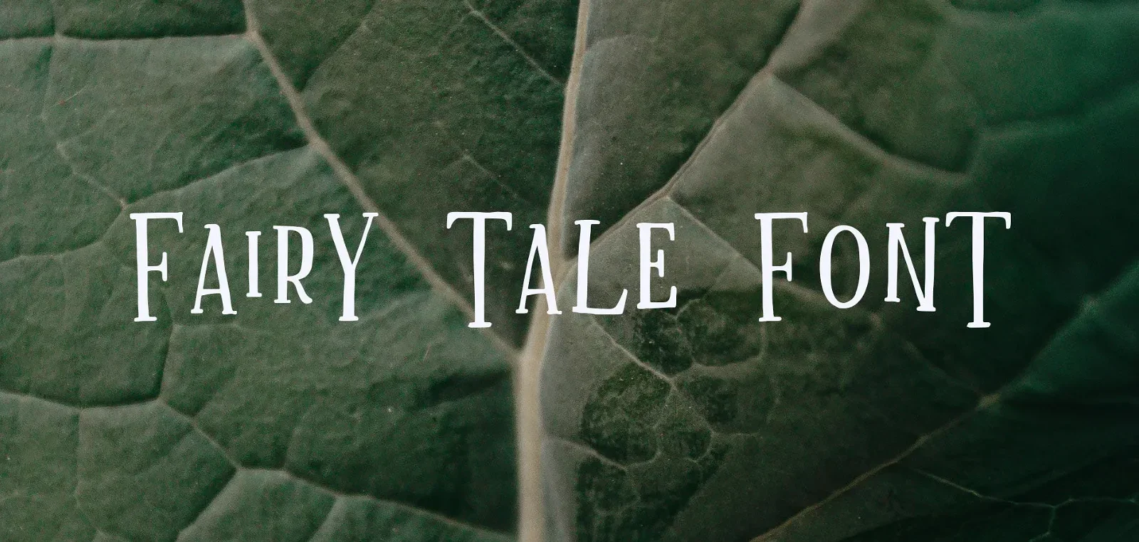 Fairy Tale Font
