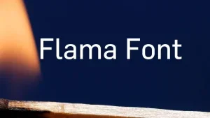 Flama Font Feature1