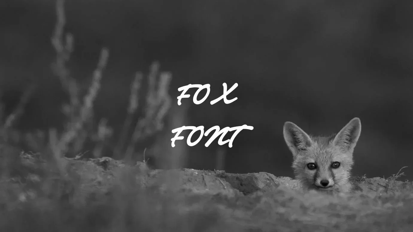 Fox Font Feature