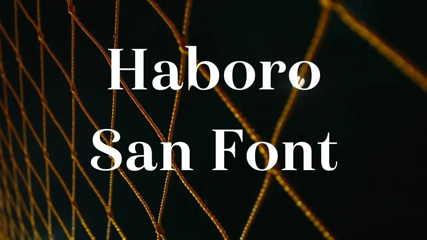 Haboro Sans Font Feature
