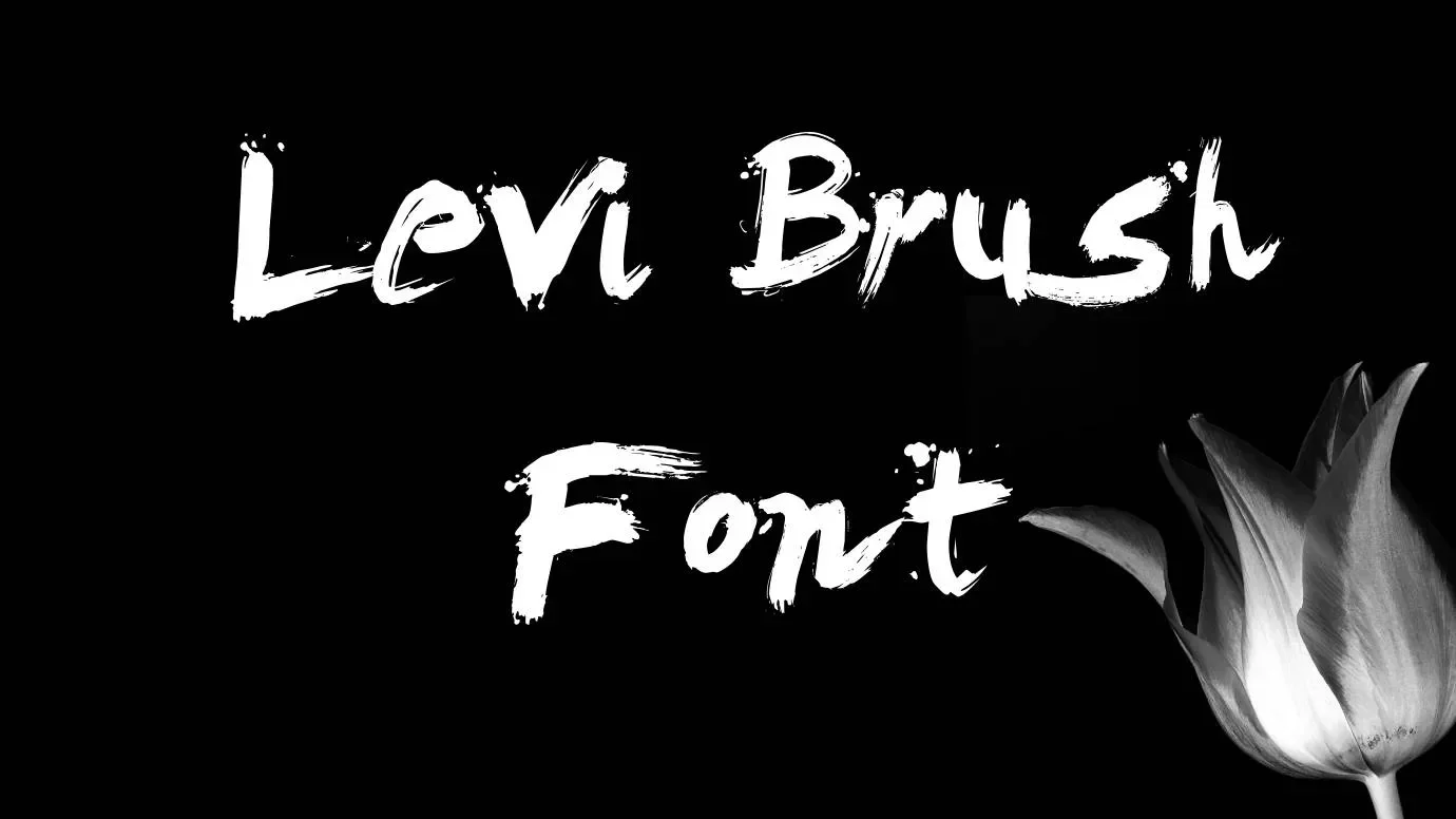 Levi Brush Font Feature