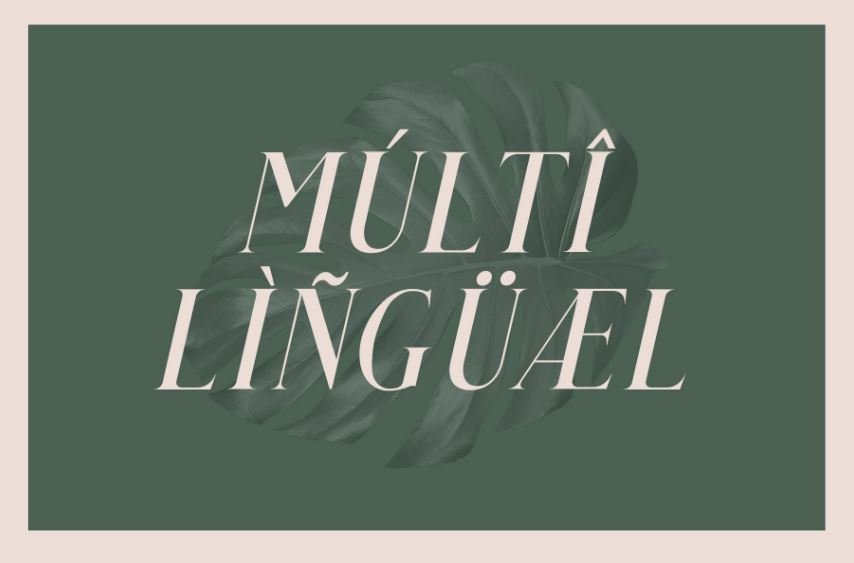 qualey font - Qualey Elegant Serif Font Free Download