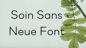 Soin Sans Neue Font Feature