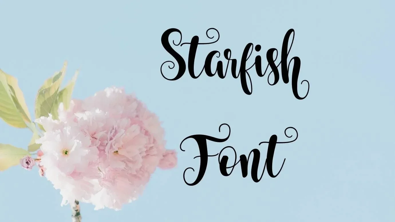 Starfish Font Feature