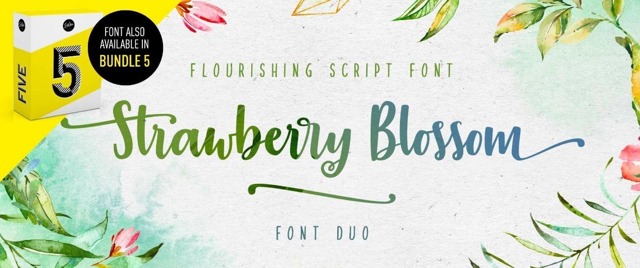 straberry blossom font - Strawberry Blossom Brush Font Free Download