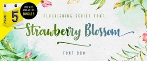 Straberry Blossom Font