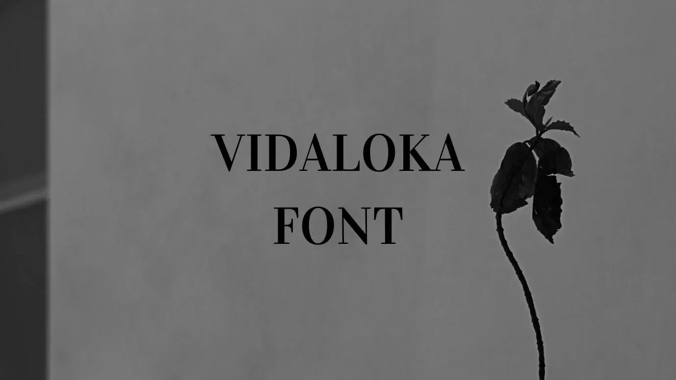 Vidaloka Font Feature
