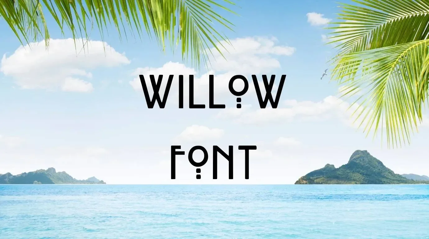 Willow Font Feature1