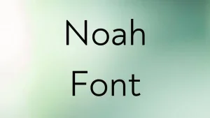 Noah Font