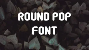 Round Pop Font