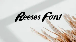 Reeses Font
