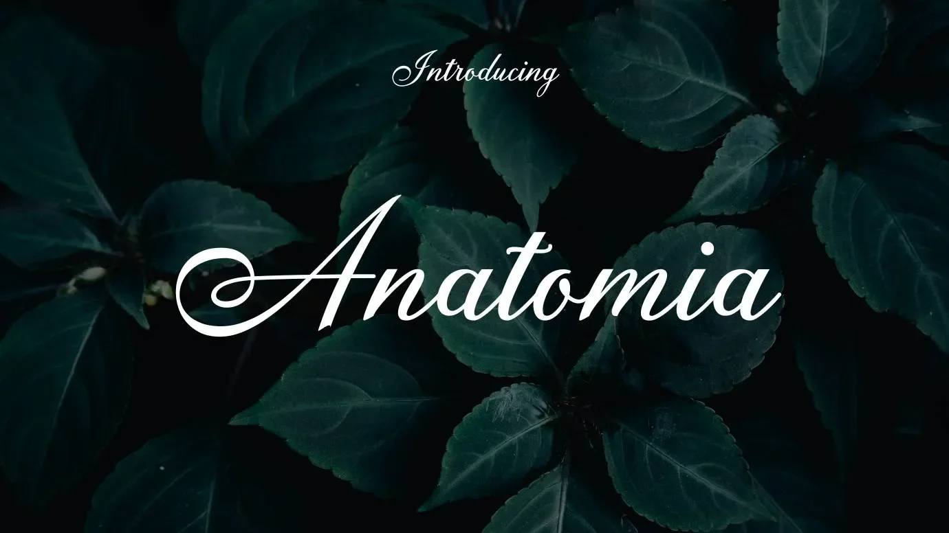 Anatomia Font